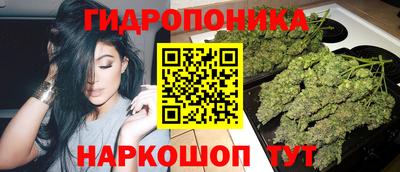 гидропоника Кулебаки